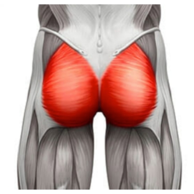 Stiff glutes hotsell